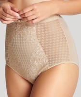 Panache Envy Shaping Brief - Nude Knickers 8 Nude