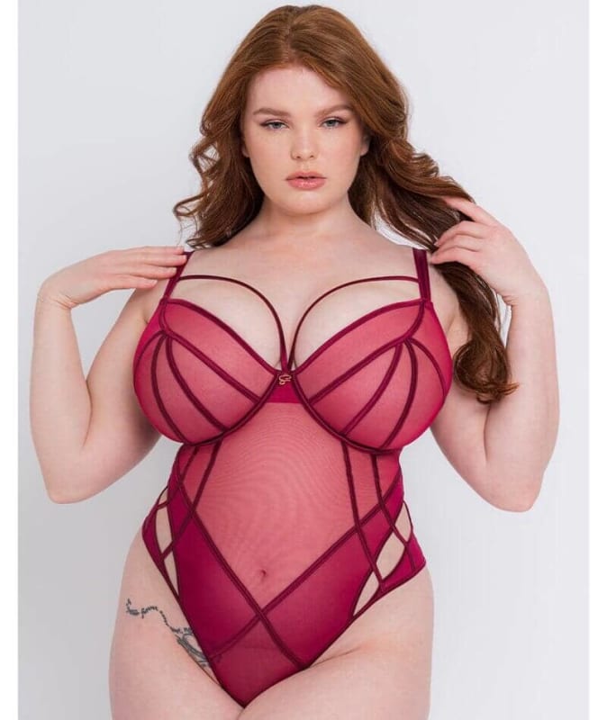 Scantilly Senses Plunge Bodysuit - Cherry Purple Bodysuits & Basques