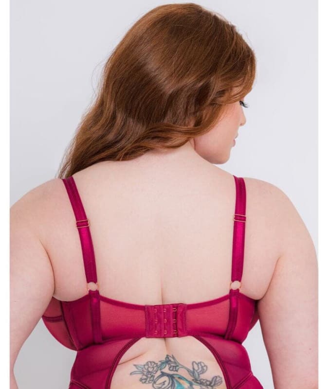Scantilly Senses Plunge Bodysuit - Cherry Purple Bodysuits & Basques
