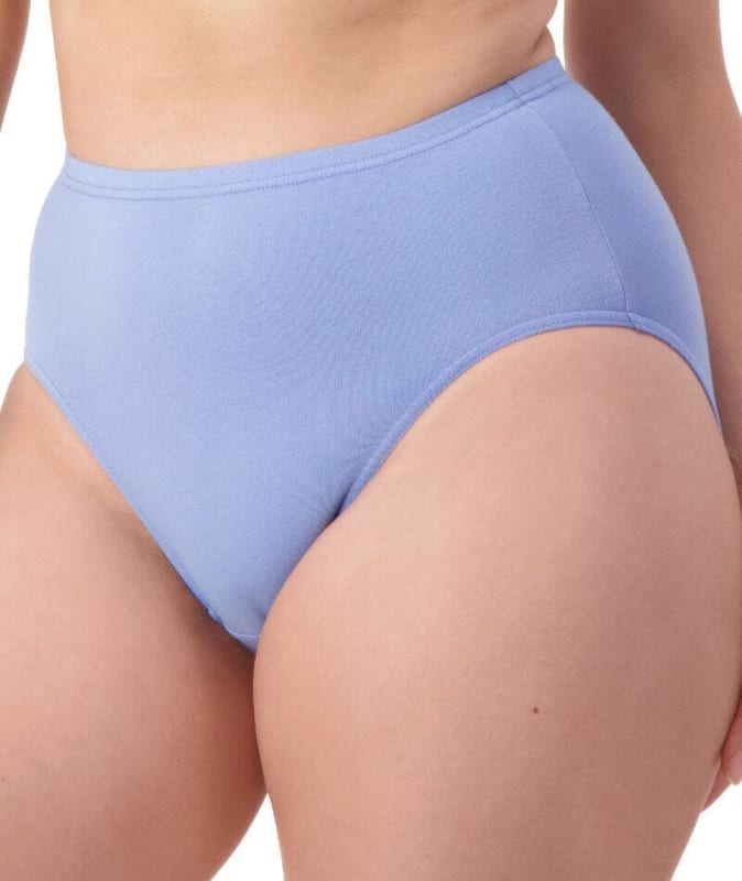 Sloggi Hikini 2 Pack Brief - Riviera/Cacao Knickers