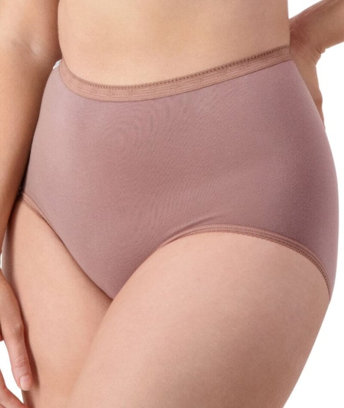 Sloggi Maxi Brief 2 Pack - Riviera/Cacao Knickers
