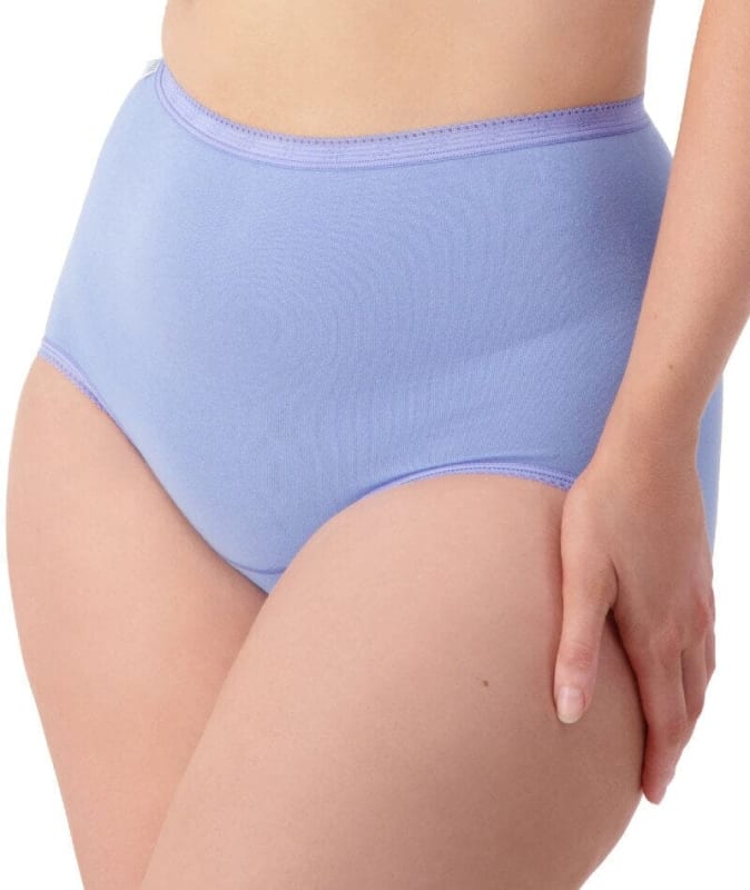 Sloggi Maxi Brief 2 Pack - Riviera/Cacao Knickers