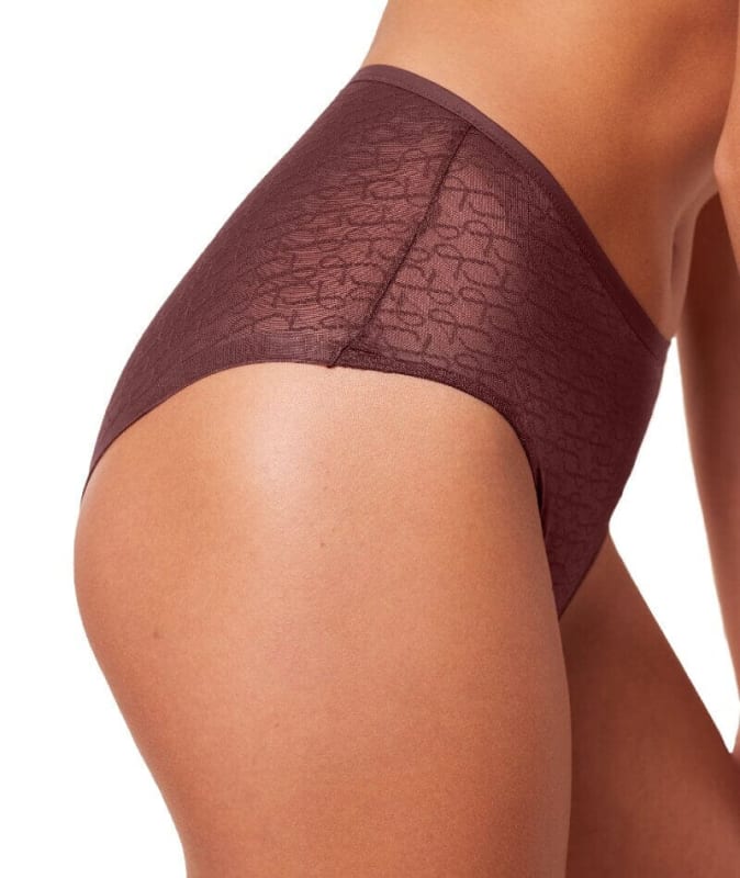 Triumph Signature Sheer Maxi Brief - Decadent Chocolate Knickers 