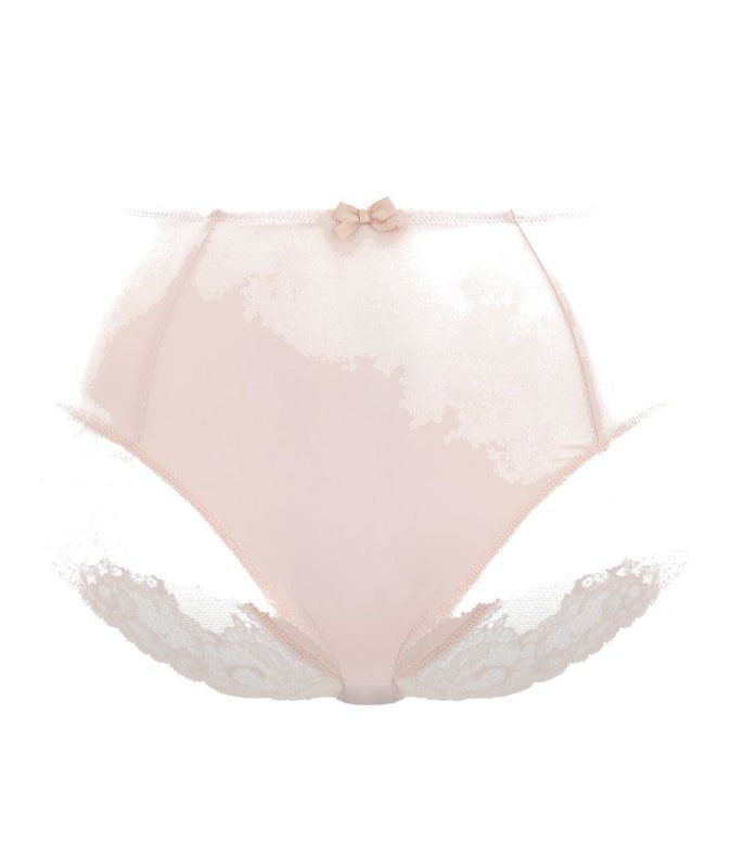 Sculptresse Sasha Brief - Soft Pink Knickers