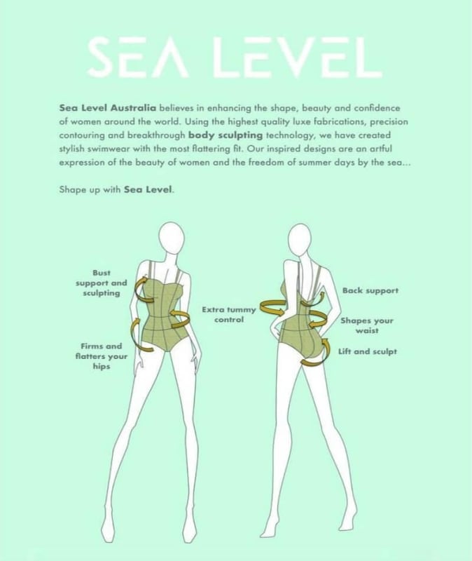 Sea Level Essentials Cross Front B-DD Cup Singlet Top - Black Swim 