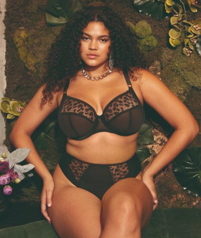 Elomi Namrah High Leg Brief - Jet Knickers