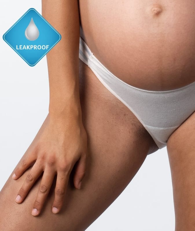 Hotmilk Elevate Light Leakproof Bikini Brief - Shell Marle Knickers