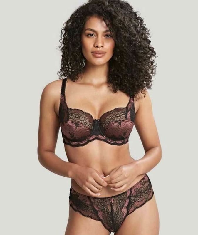 Panache Clara Brief - Black/Fig Knickers