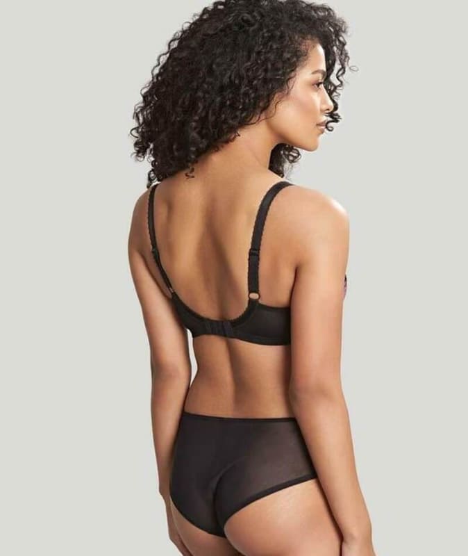 Panache Clara Brief - Black/Fig Knickers
