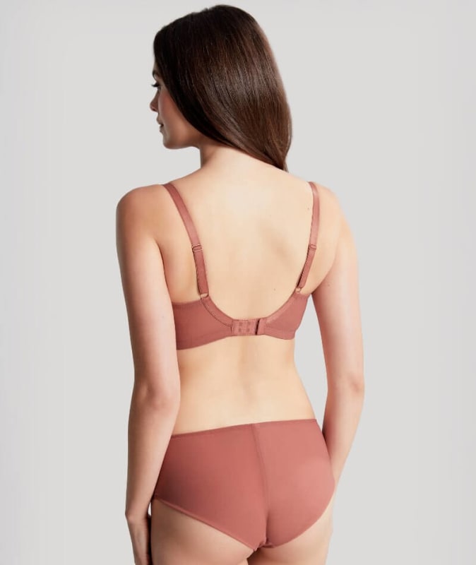 Panache Ana Brief - Sienna Knickers