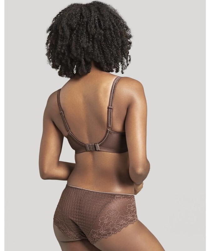 Panache Envy Brief - Chestnut Knickers