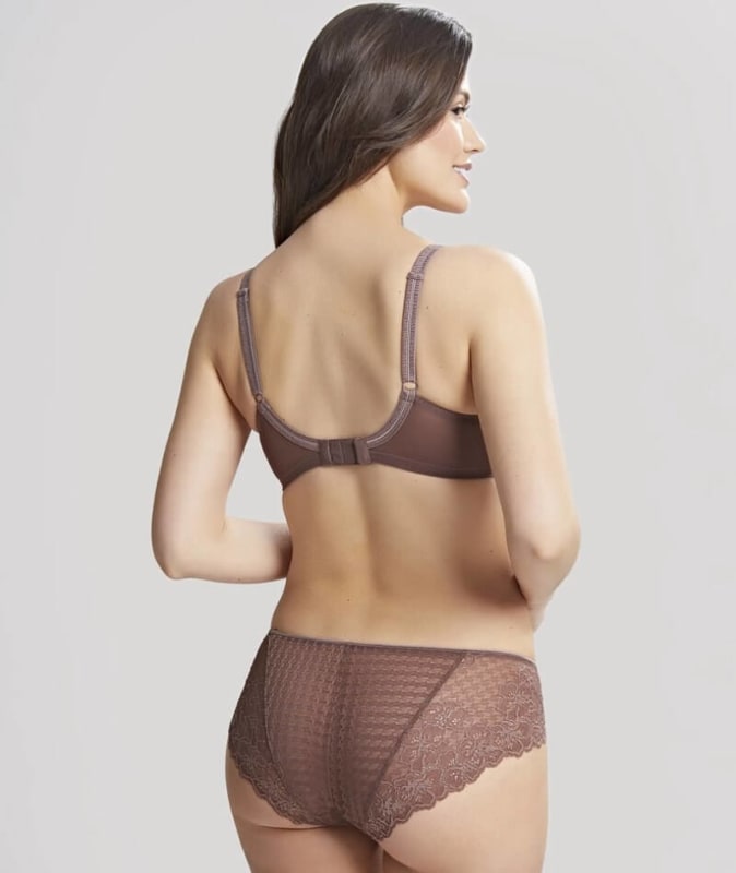 Panache Envy Full Cup Underwire Bra - Chestnut Bras 
