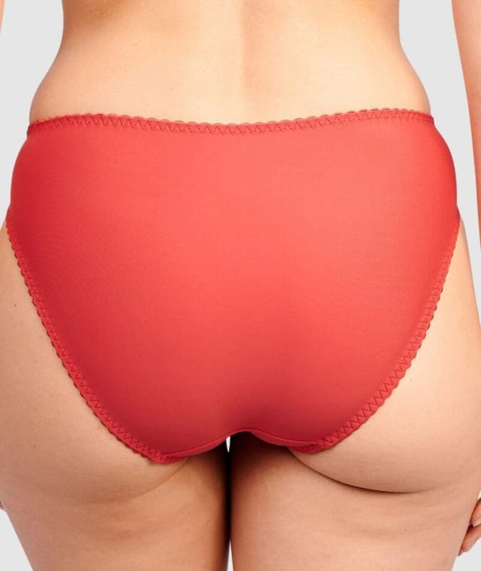 Sans Complexe Arum Microfiber and Lace Hipster Brief - Jester Red Knickers 
