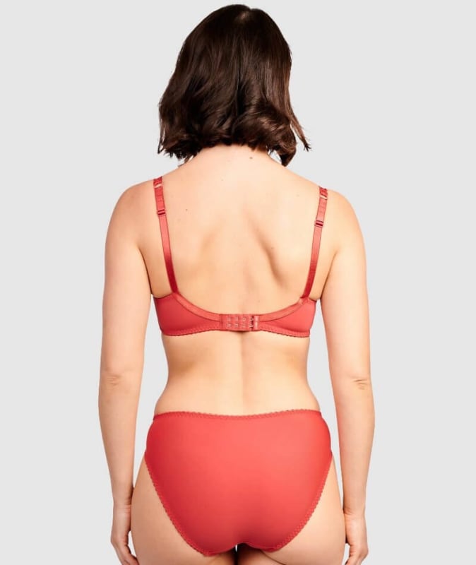 Sans Complexe Arum Microfiber and Lace Hipster Brief - Jester Red Knickers 