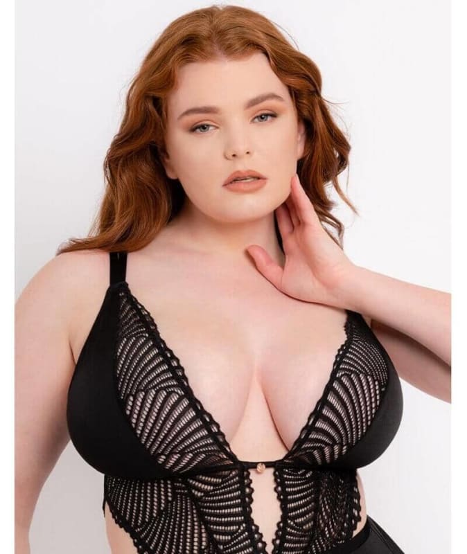 Scantilly After Hours Stretch Lace Teddy - Black Bodysuits & Basques 