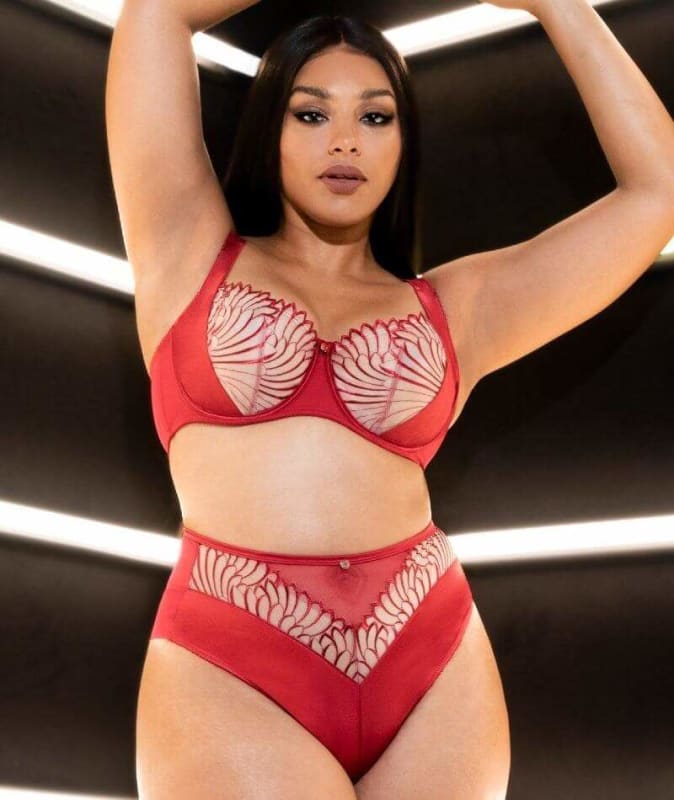 Scantilly Fallen Angel Balcony Bra - Garnet Red Bras 
