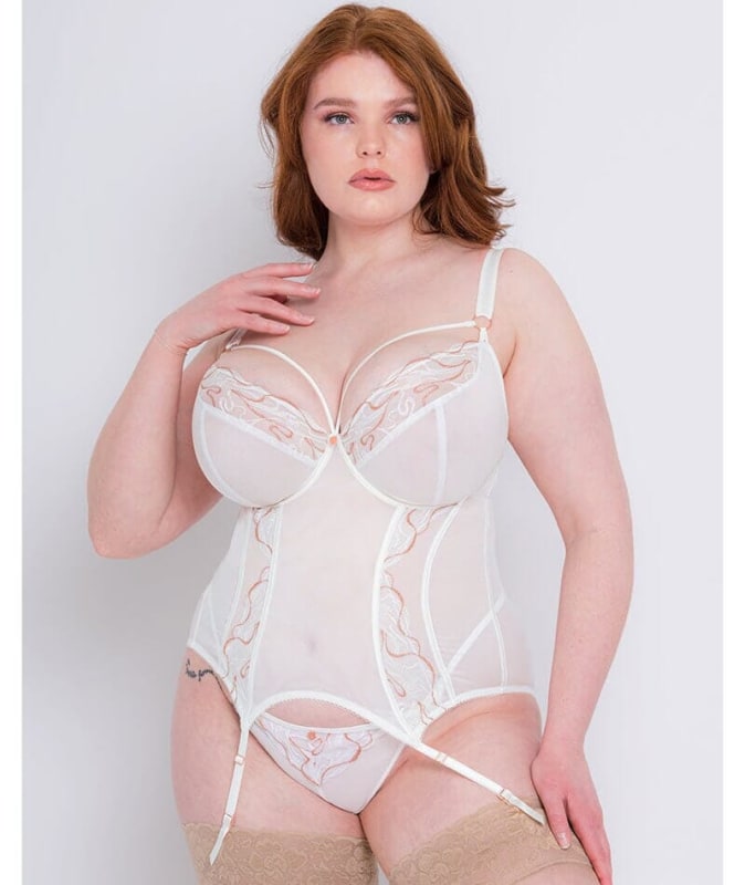Scantilly Fascinate Plunge Basque - White Bodysuits & Basques