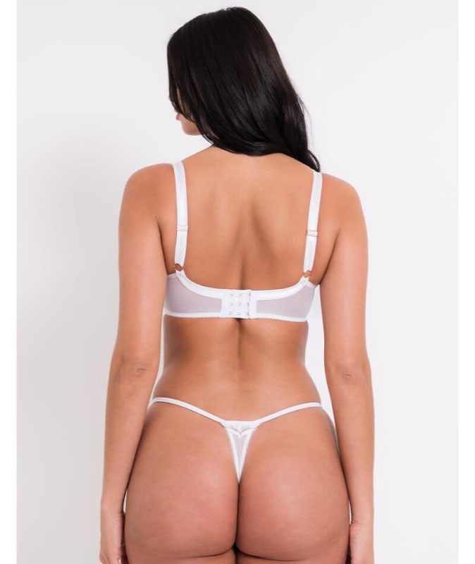 Scantilly Fascinate Thong - White Knickers 