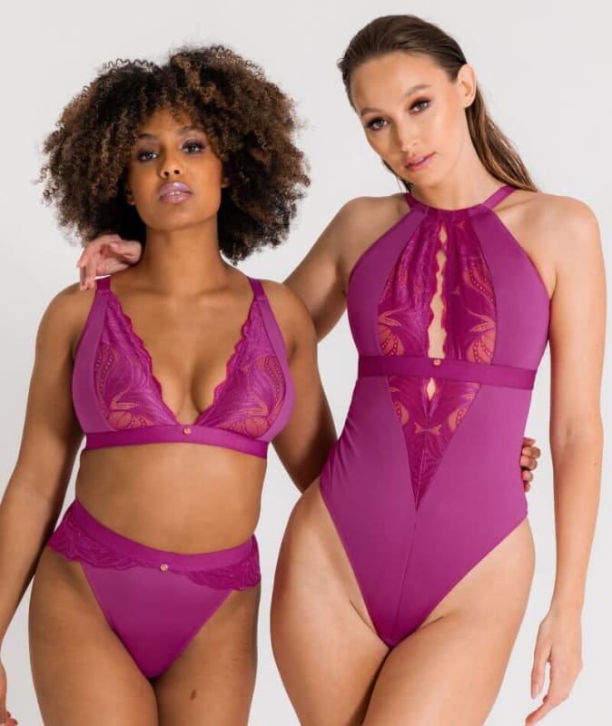 Scantilly Indulgence High Waist Brief - Orchid/Latte Knickers 
