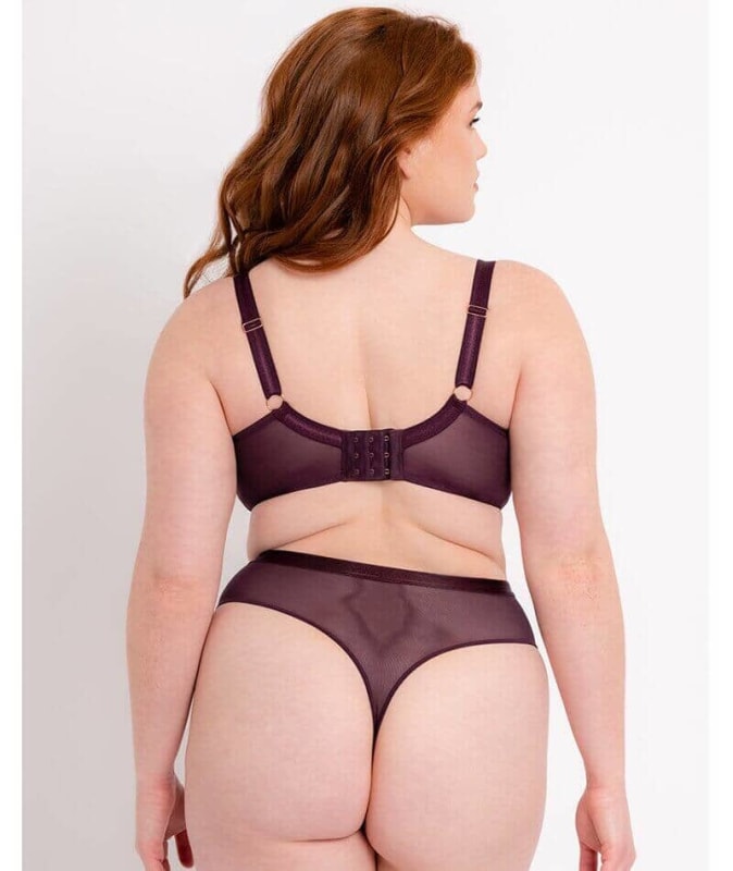Scantilly Lovers Knot Thong - Fig/Latte Beige Knickers