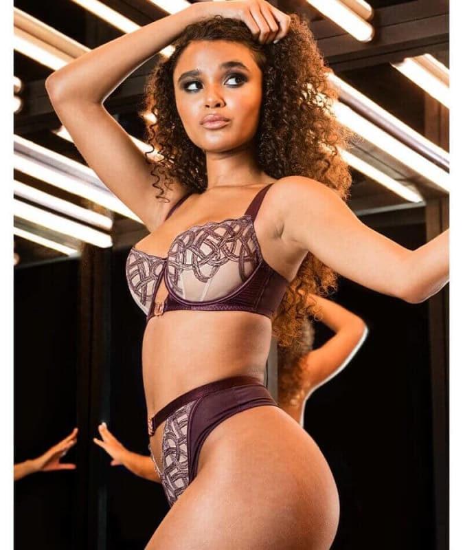 Scantilly Lovers Knot Thong - Fig/Latte Beige Knickers