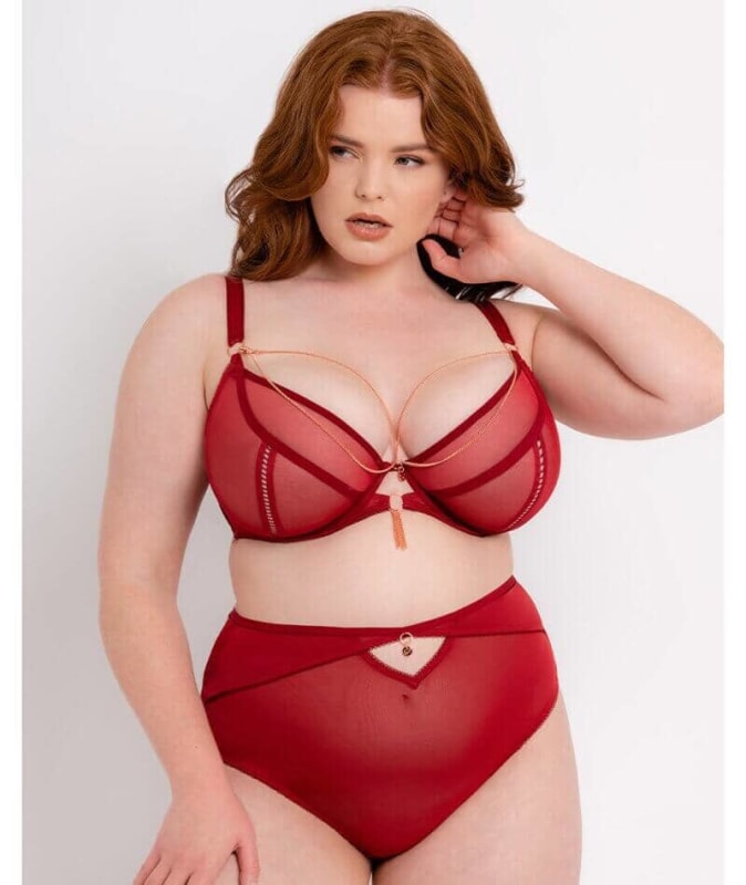 Scantilly Unchained High Waist Brief - Deep Red Knickers